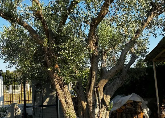 Casa di campagna Solis House *