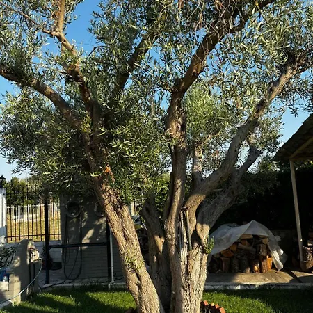 Εξοχικό σπίτι Solis House *